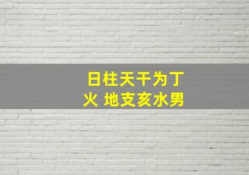 日柱天干为丁火 地支亥水男